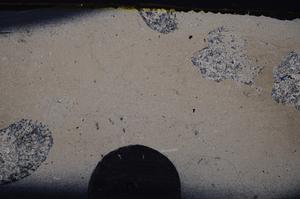 Cross Polarized, E42124