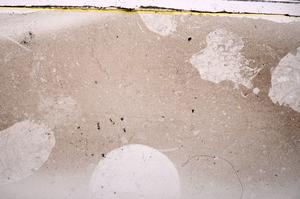 Plane Polarized, E42124