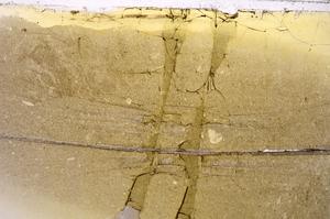 Plane Polarized, E42126