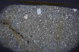 Cross Polarized, E42172