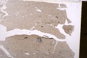 Plane Polarized, E42181