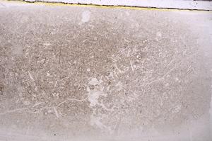 Plane Polarized, E42309