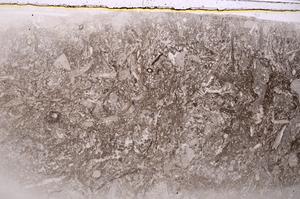 Plane Polarized, E42323