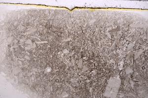 Plane Polarized, E42324