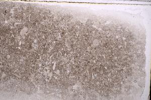 Plane Polarized, E42326