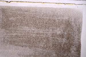 Plane Polarized, E42333