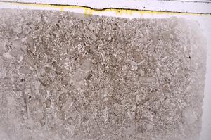 Plane Polarized, E42336