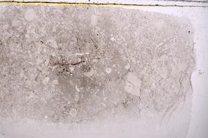 Plane Polarized, E42339