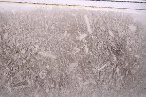 Plane Polarized, E42348