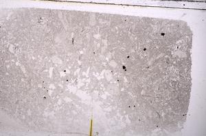 Plane Polarized, E42349