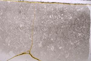 Plane Polarized, E42350