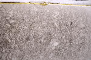 Plane Polarized, E42351