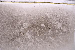 Plane Polarized, E42352