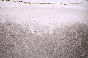Plane Polarized, E42355