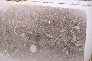 Plane Polarized, E42359