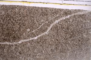 Plane Polarized, E42376