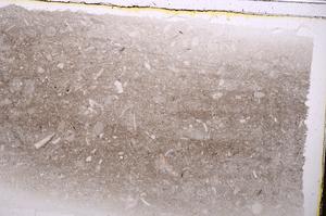 Plane Polarized, E42392
