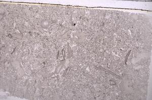 Plane Polarized, E42398