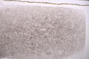 Plane Polarized, E42409