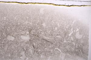 Plane Polarized, E42411