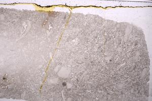 Plane Polarized, E42412