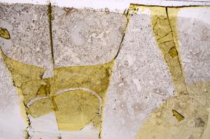 Plane Polarized, E42414