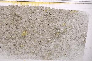 Plane Polarized, E42422