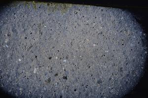 Cross Polarized, E42432