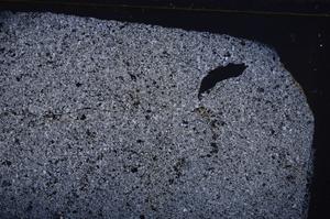 Cross Polarized, E42487