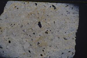 Cross Polarized, E42489