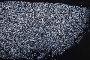 Cross Polarized, E42500