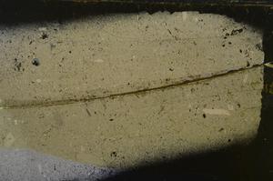 Cross Polarized, E42510