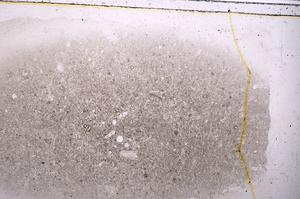 Plane Polarized, E42511