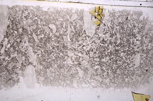 Plane Polarized, E42515