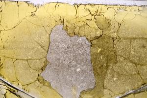 Plane Polarized, E42516