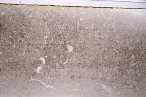 Plane Polarized, E42518