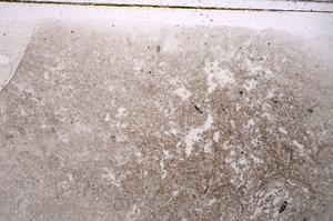 Plane Polarized, E42522