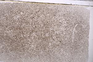 Plane Polarized, E42524