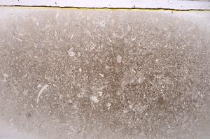 Plane Polarized, E42526