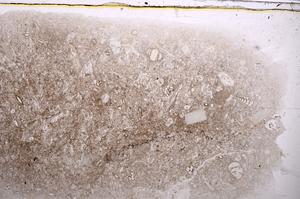 Plane Polarized, E42527