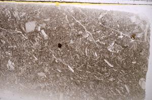 Plane Polarized, E42532