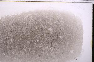 Plane Polarized, E42536