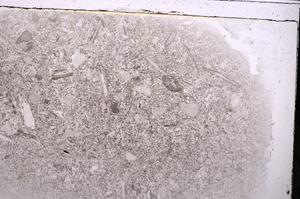 Plane Polarized, E42538