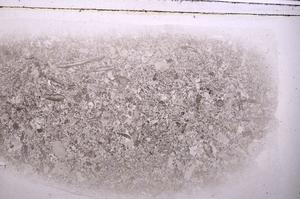 Plane Polarized, E42539