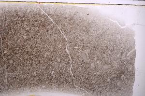 Plane Polarized, E42564