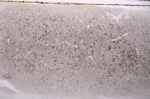 Plane Polarized, E42573