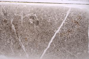 Plane Polarized, E42574