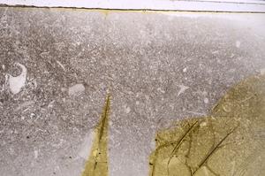 Plane Polarized, E42577
