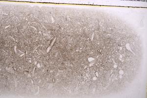 Plane Polarized, E42582