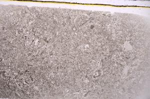 Plane Polarized, E42586
